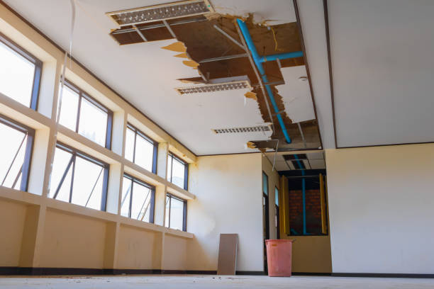 Best 24/7 water damage repair  in Seco Mines, TX