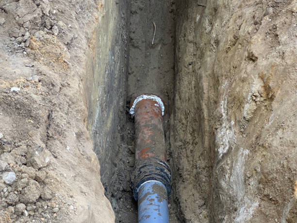 Best Flood restoration services  in Seco Mines, TX