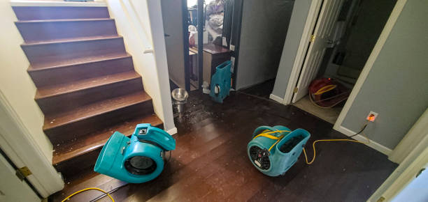 Trusted Seco Mines, TX Water damage restoration Experts