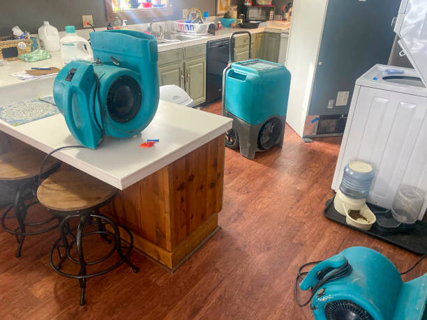 Best Sewage cleanup and water damage restoration  in Seco Mines, TX