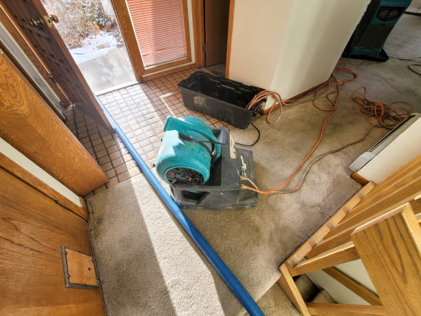 Best 24/7 water damage repair  in Seco Mines, TX