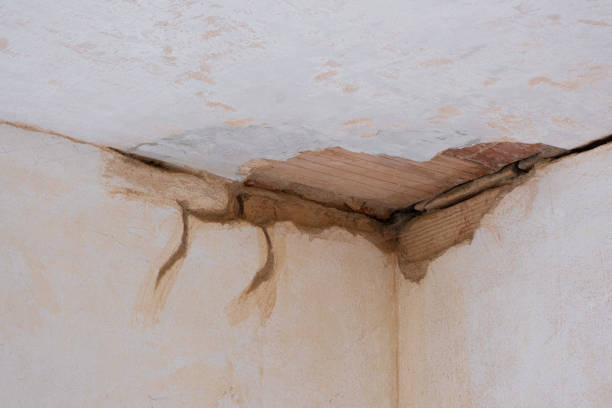 Best Water damage contractors near me  in Seco Mines, TX