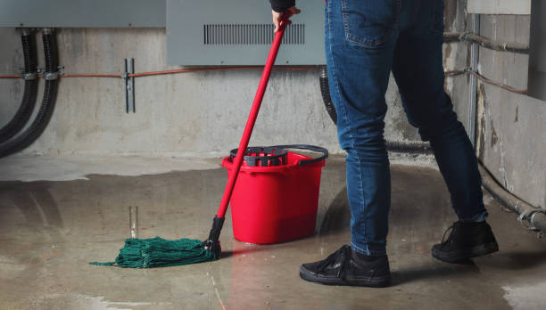 Best Water damage contractors near me  in Seco Mines, TX