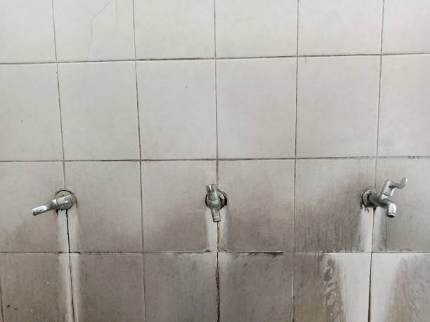  Seco Mines, TX Water damage restoration Pros
