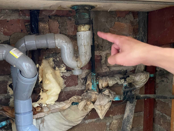 Best Water damage restoration near me  in Seco Mines, TX
